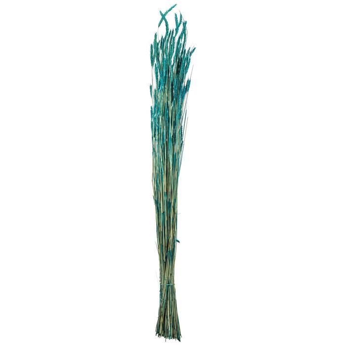 Turquoise Maton Grass Hobby Lobby 558643